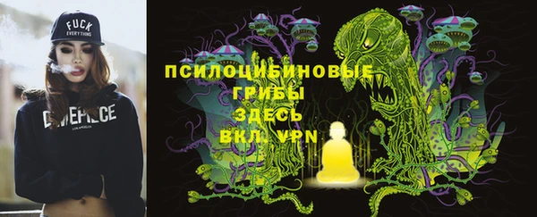 PSILOCYBIN Абдулино