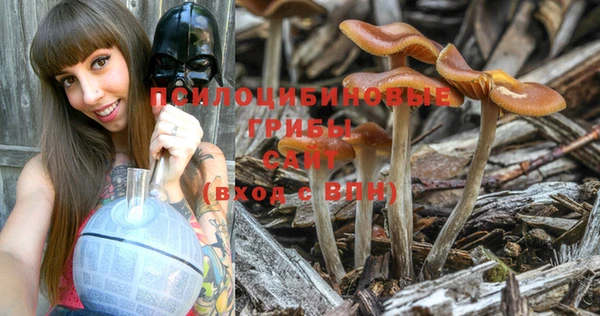 PSILOCYBIN Абдулино
